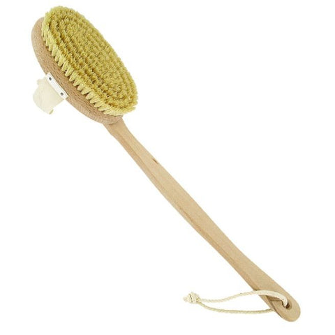 Comprar online CEPILLO CORPORAL CON MANGO DESMONTABLE HAYA de FORSTERS. Imagen 1