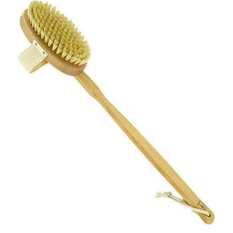 Comprar online CEPILLO CORPORAL CON MANGO DESMONTABLE HAYA de FORSTERS. Imagen 1