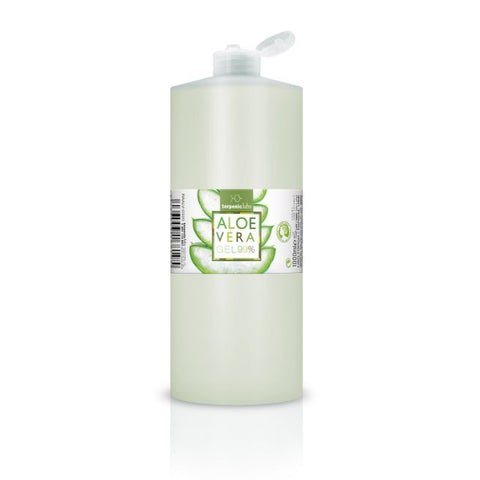 Comprar online GEL ALOE VERA 1000GR de TERPENIC. Imagen 1