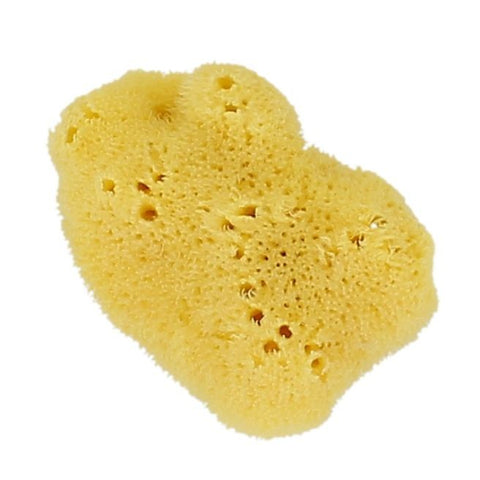 Comprar online ESPONJA MARINA NATURAL EXTRA SUAVE FACIAL TALLA M de FORSTERS. Imagen 1