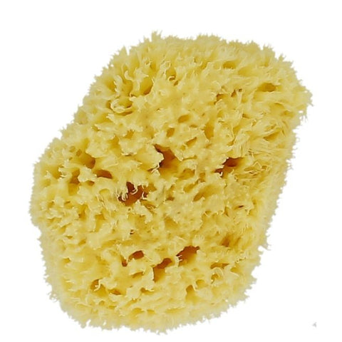 Comprar online ESPONJA MARINA NATURAL S/M 8-10 CM de FORSTERS. Imagen 1